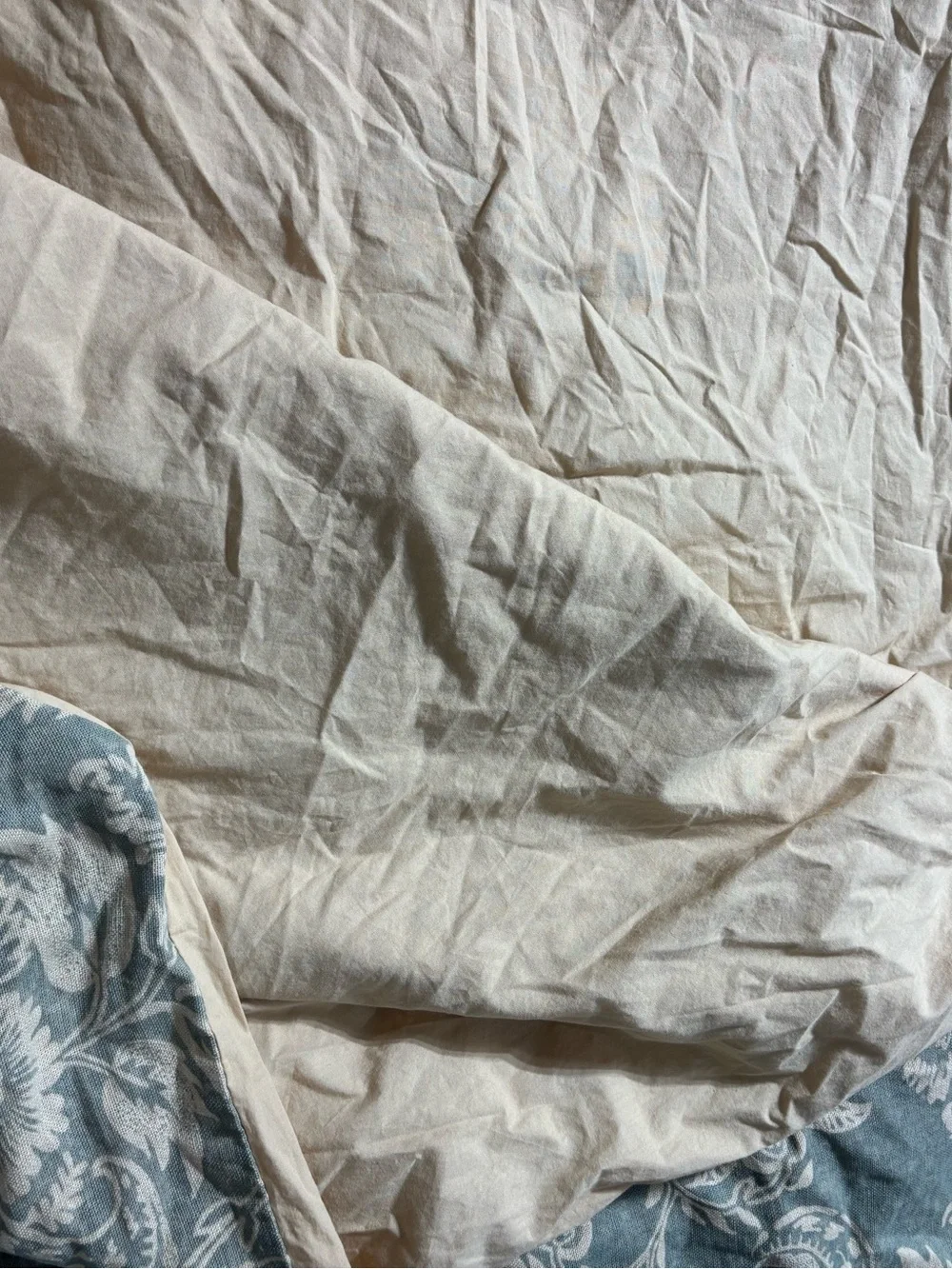 Pottery barn king Alessandra floral linen cotton duvet cover and shams